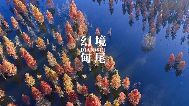 我想成为一名动漫游戏设计师有什么要求吗？