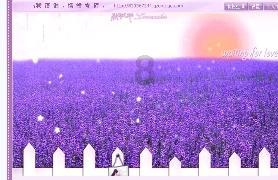 雷竞技比分