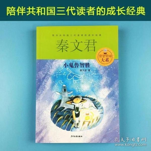 小猫钓鱼游戏龙王版有船